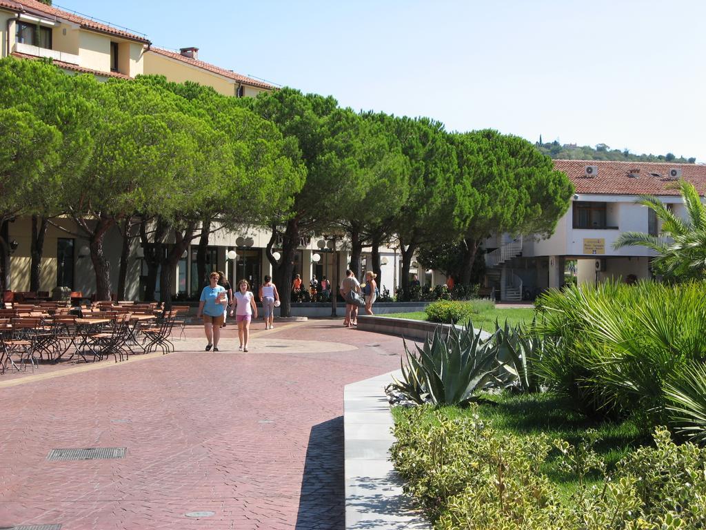 Alea Apartment *