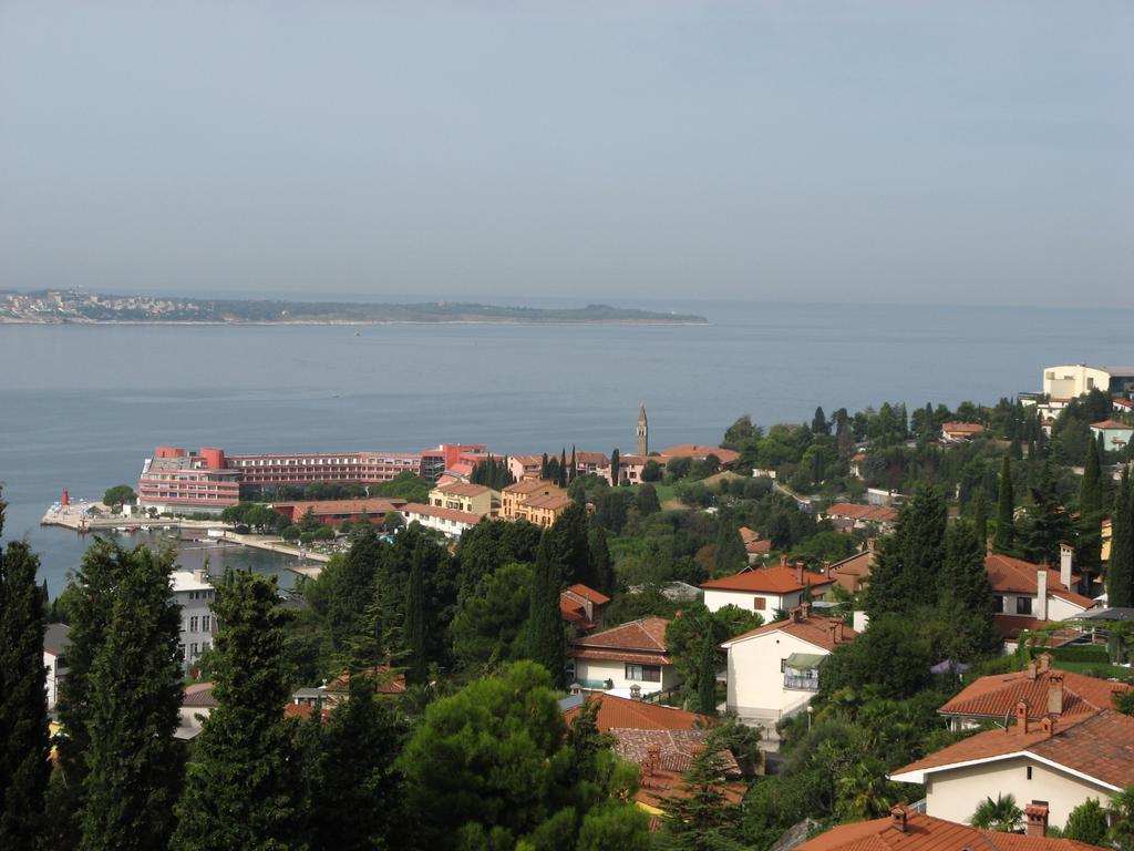 Apartment Alea
